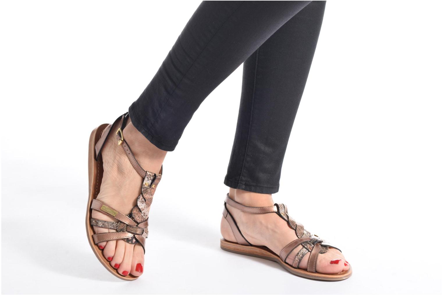 hams les tropeziennes