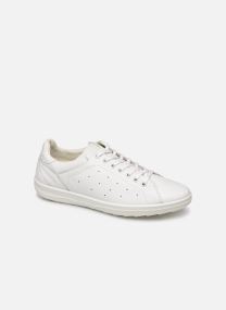 chaussures tbs homme easy walk