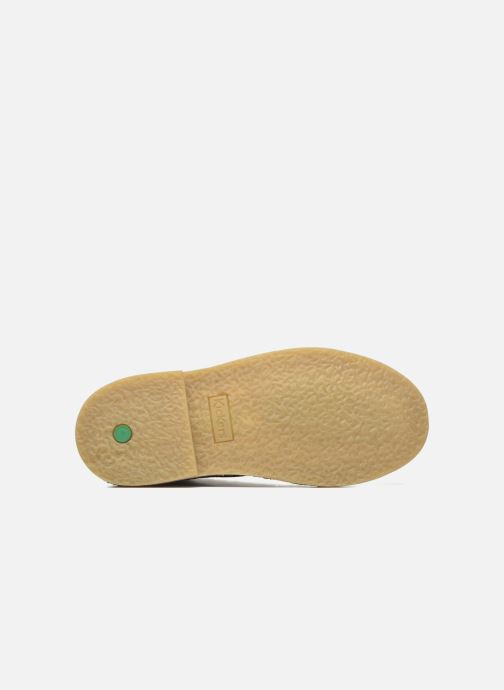 263898 Kickers F beige Orilegend Schnürschuhe wqIIrxapX5