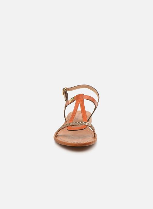 tropezienne hatress
