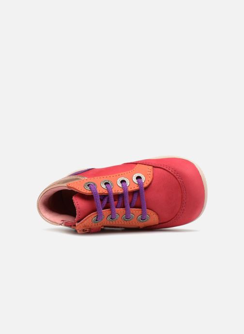 kickers biflorid