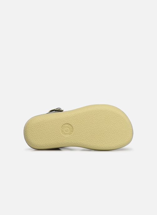 adidas shark groen adidas shark groen