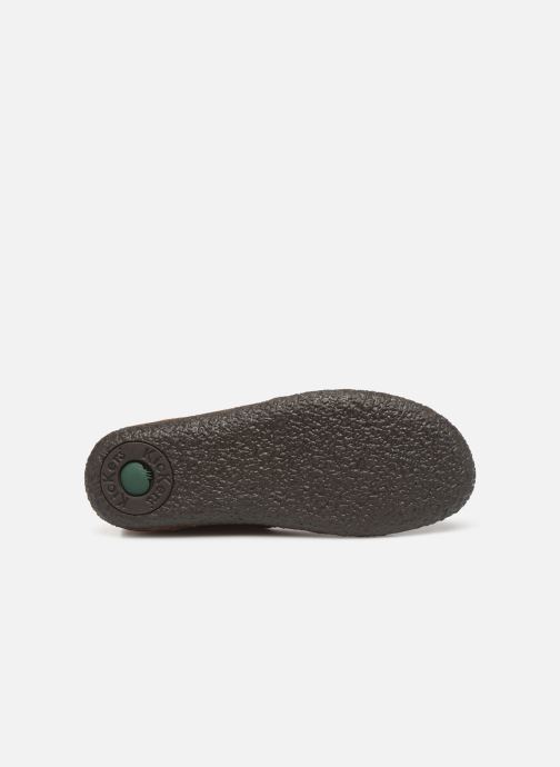 kickers happli marron