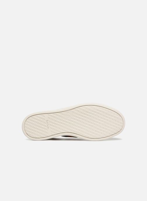 PS Paul Smith Lapin (Gold bronze) bronze) bronze) - Turnschuhe bei Más cómodo 57b6a3 PS Paul Smith Lapin (Gold bronze) bronze) bronze) - Turnschuhe bei Más cómodo 57b6a3