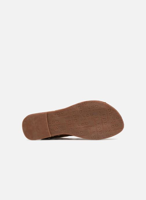 braun Bombes Persan Sandalen P'tites Les 312868 HwTZP