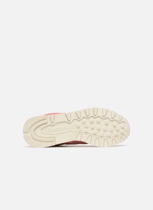 Classicleather Reebok 316080 rosa Sneaker Satin a181RSnF