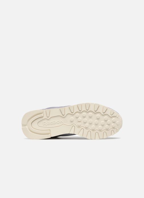 Satin Reebok Sneaker Classicleather 316081 lila Xxqzp5YT