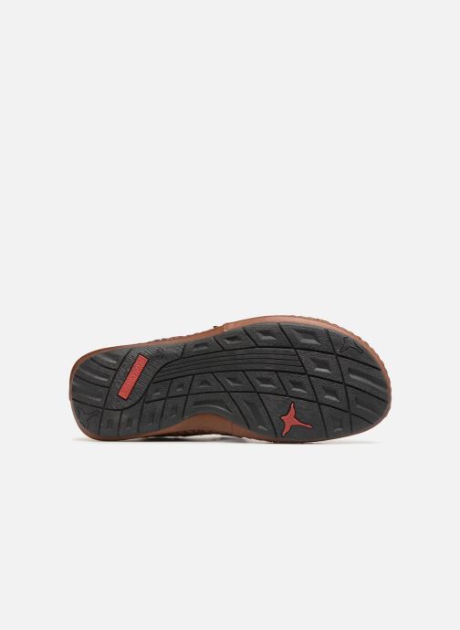 Chez Tarifa pieds Sandales 06j 5818 Nu Et 318577 marron Pikolinos wUqZxw