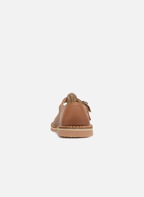 aster dingo camel