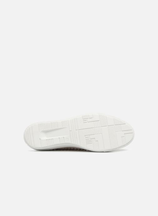 Madden 327765 Sneaker rosa Steve Christel UAw4PPq8