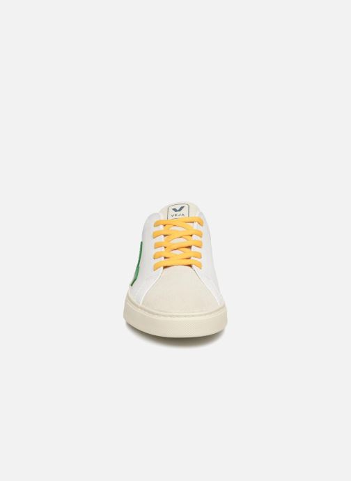 veja esplar laces