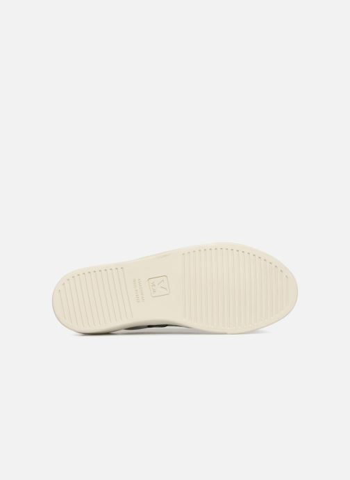 veja esplar laces