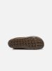 Camper Peu Cami K400295 (Bruin) Laarzen chez Sarenza (403549) Camper Peu Cami K400295 (Bruin) Laarzen chez Sarenza (403549)