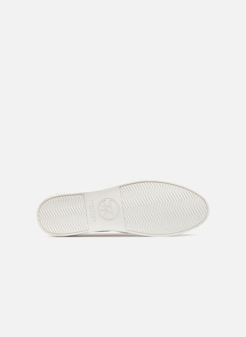 W Panafrica 334010 beige Alizé Sneaker X Sarenza RwqS5wZ