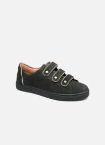 bensimon scratch
