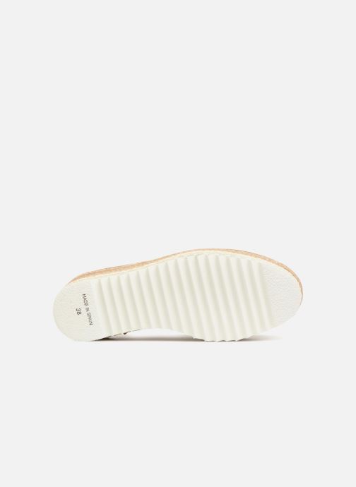 chaussure apologie avis