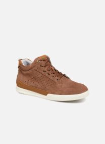 kickers bachalcis