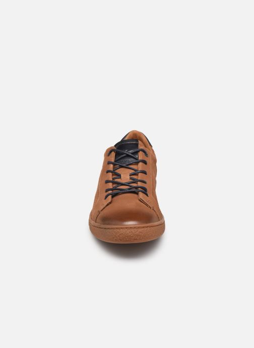 kickers san marco marron