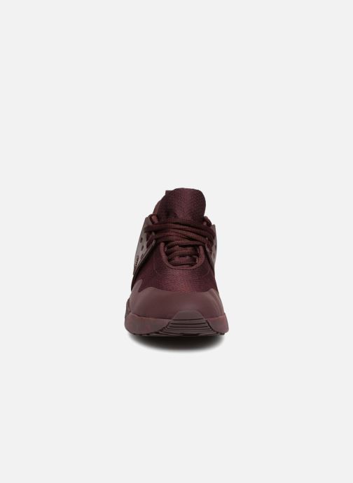 Sneakers Knit Up Timberland Oxford bordò Chez Kiri 341904 wXXg4qrF