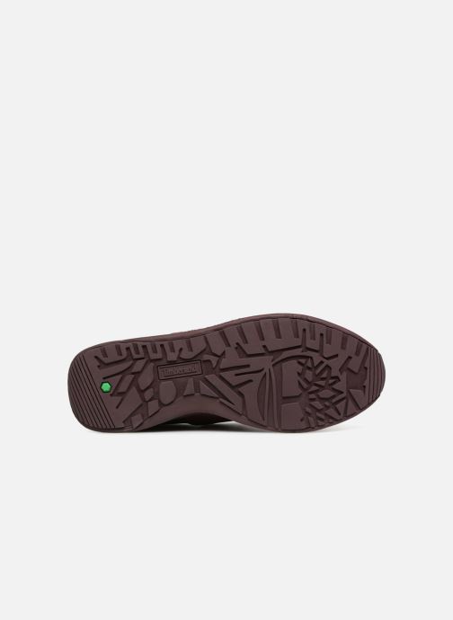 Sneakers Knit Up Timberland Oxford bordò Chez Kiri 341904 wXXg4qrF