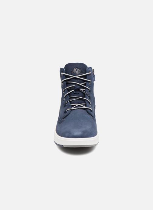 lacoste timberland