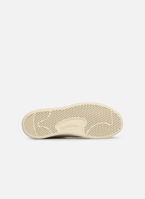 reebok npc trainers in chalk