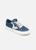 Victoria Tribu Lona Retro (Bleu) Baskets chez Sarenza (352209) Victoria Tribu Lona Retro (Bleu) Baskets chez Sarenza (352209)