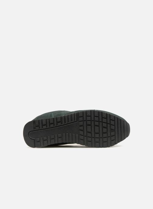 Femme grün Monoprix Basket 352509 Unies Sneaker FwHHdB