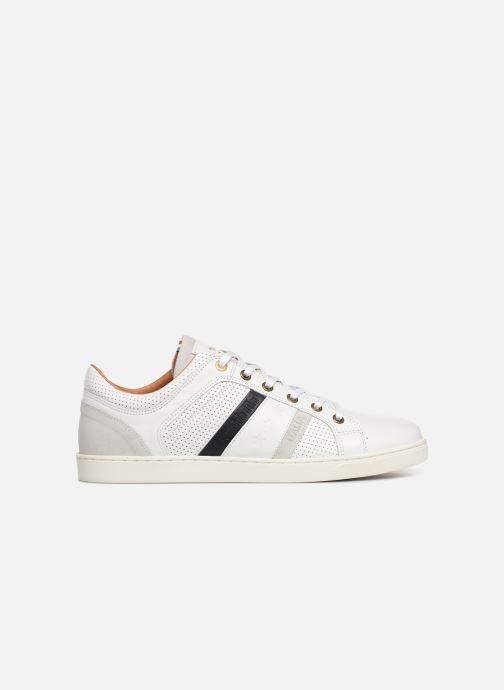 Bright Enzo Uomo D'oro Low Pantofola Baskets White K1clFJ