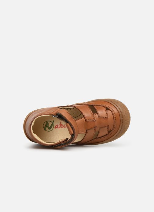 Naturino Wad (braun) Ballerinas bei (356727) Naturino Wad (braun) Ballerinas bei (356727)