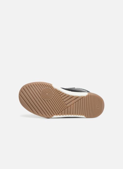 deportivas scratcher