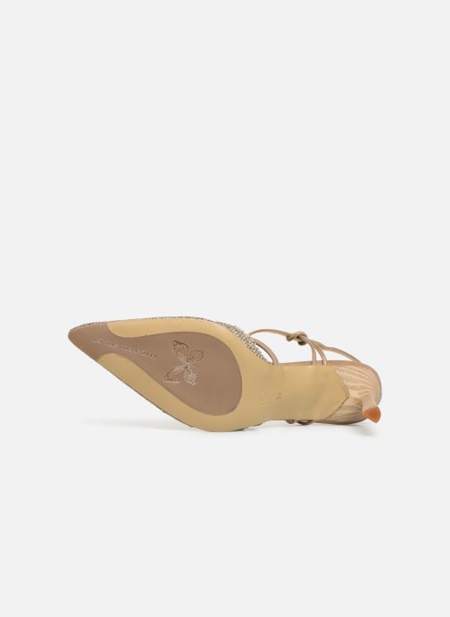 Elizabeth Stuart Lyco 800 Frg (Grigio) Sandali e scarpe Elizabeth Stuart Lyco 800 Frg (Grigio) Sandali e scarpe
