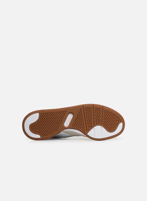 lacoste court slam 319 1 sma