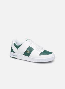 lacoste thrill 319