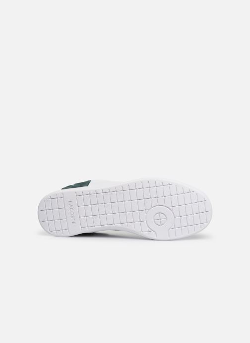 lacoste carnaby evo 419