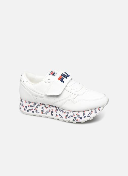 fila zeppa