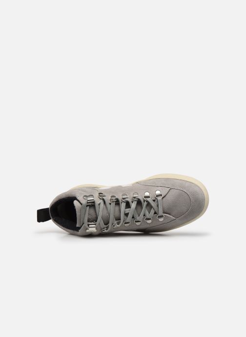veja roraima grey