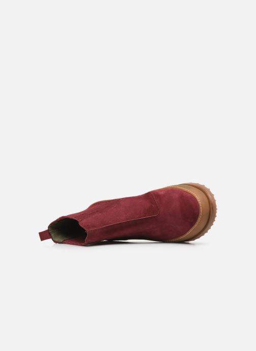 el naturalista bordeaux