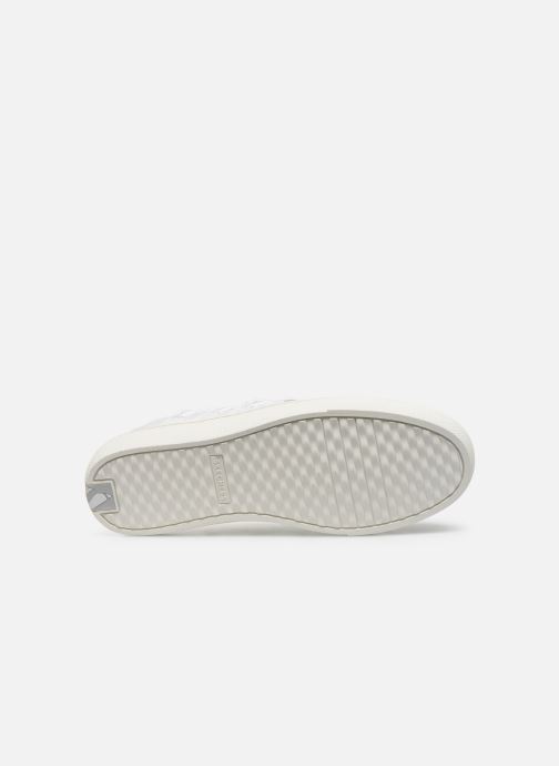 skechers goldie modern gal