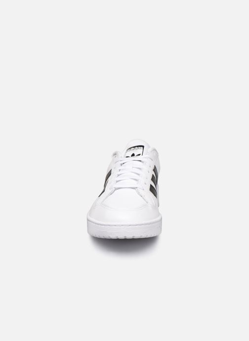 adidas originals modern court