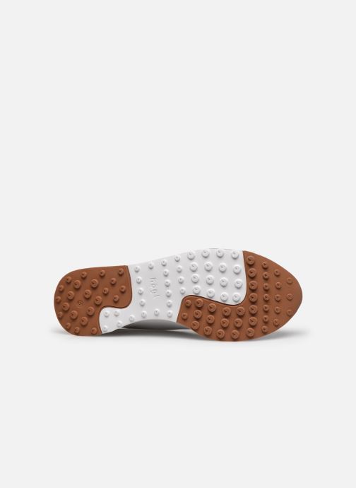 sarenza hogl
