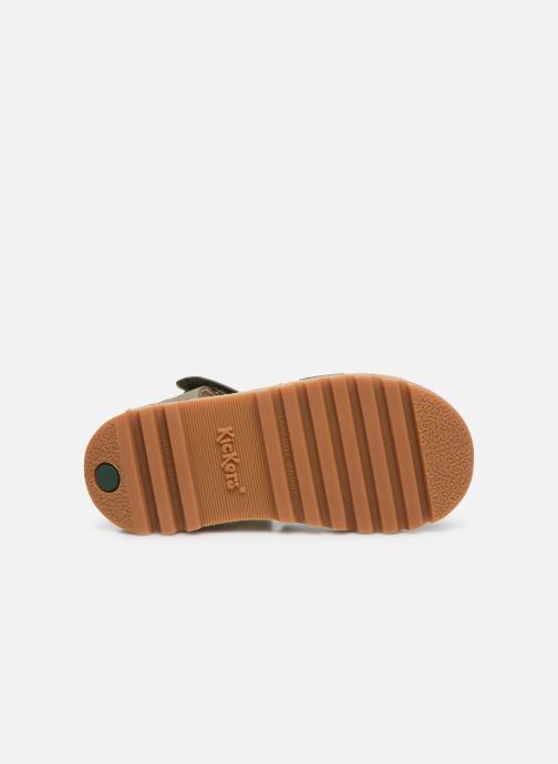 kickers neopy