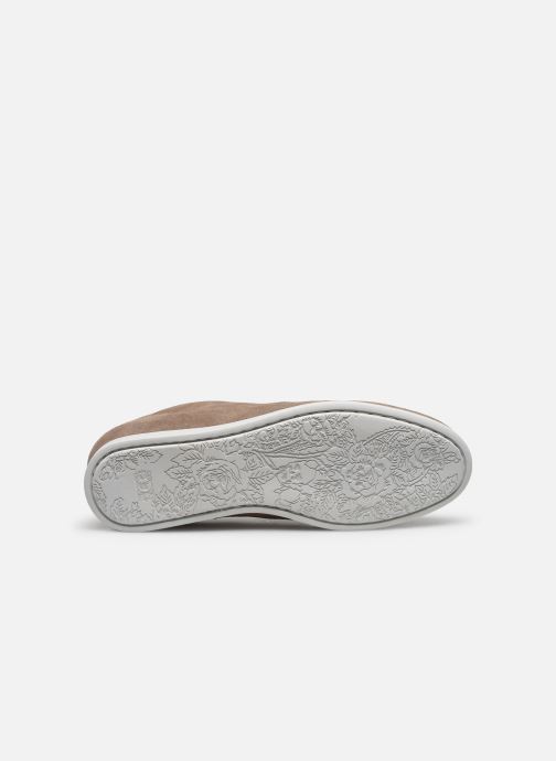 cleon paul smith