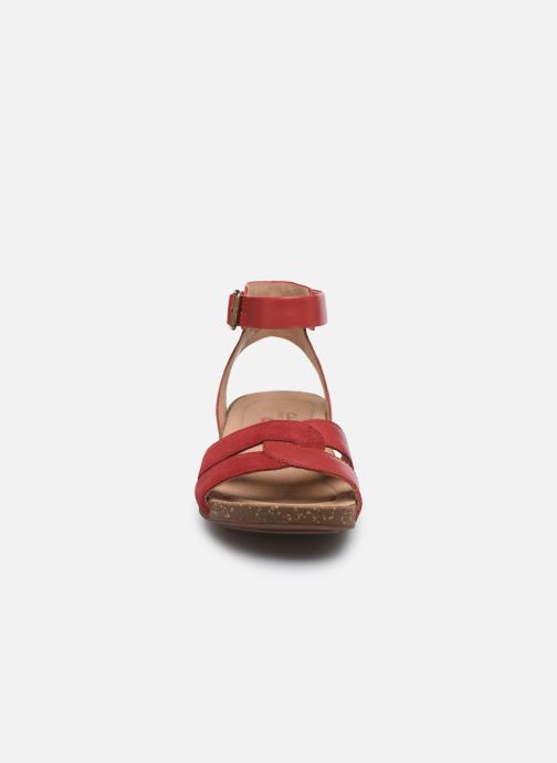un perri loop clarks