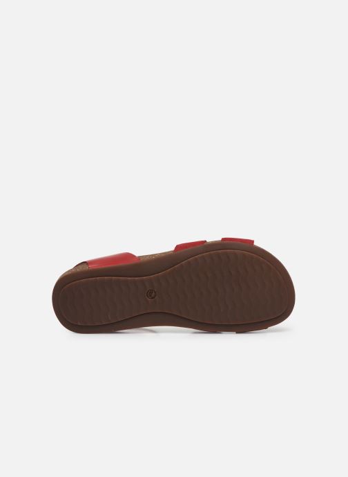 un perri loop clarks