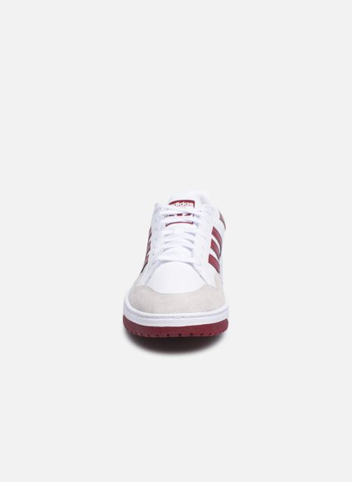 adidas court blanche adidas court blanche