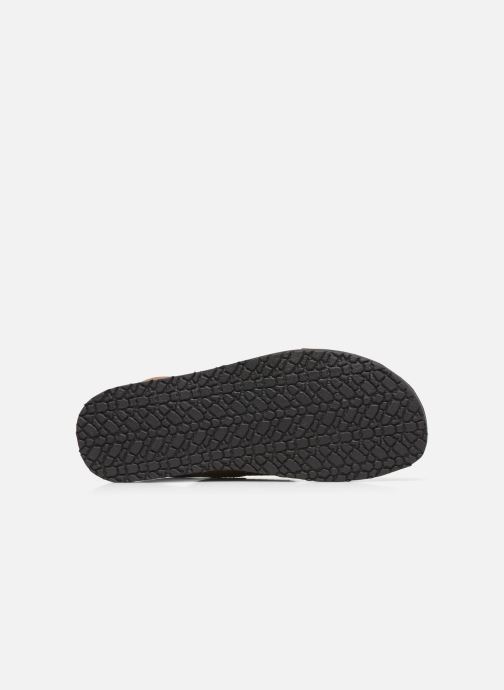Base London EMPIRE (braun) Sandalen bei (438912) Base London EMPIRE (braun) Sandalen bei (438912)