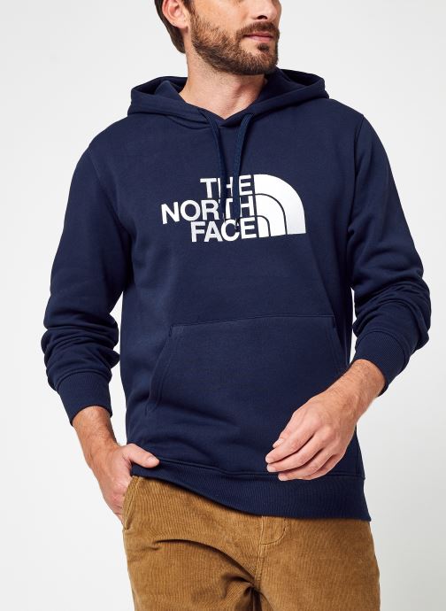 Vêtements The North Face Drew Peak Pullover Hoodie Bleu vue détail/paire