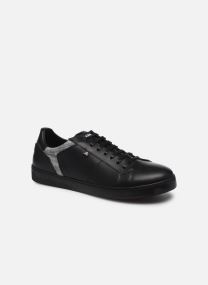 azzaro basket