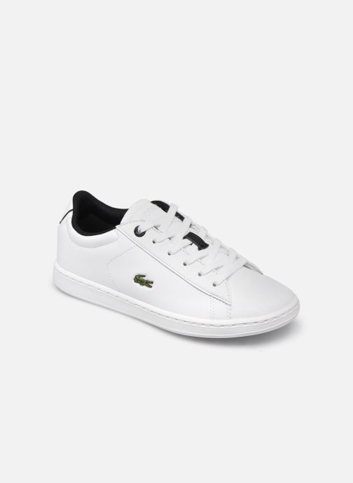 basket enfant lacoste